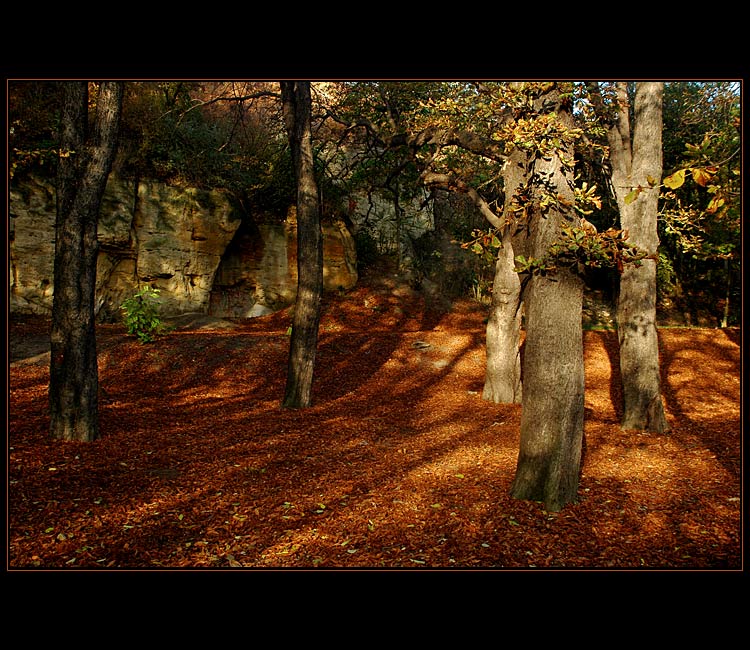 Podzim v Praze Libni