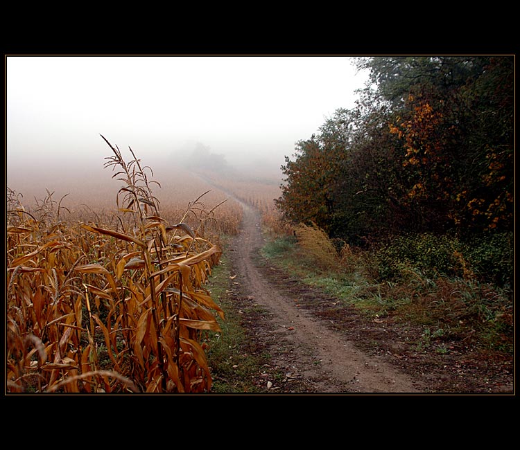 Pražské mlhy včera ráno