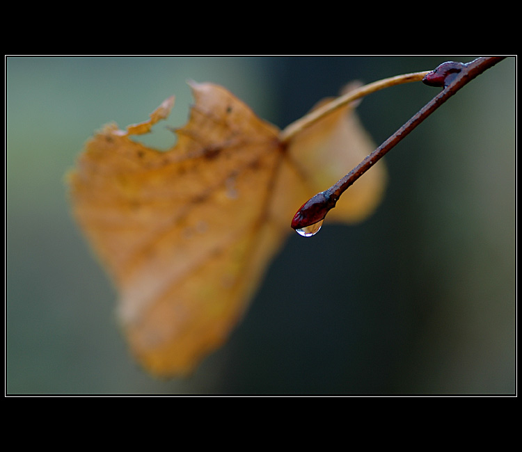 Dnes ráno po dešti