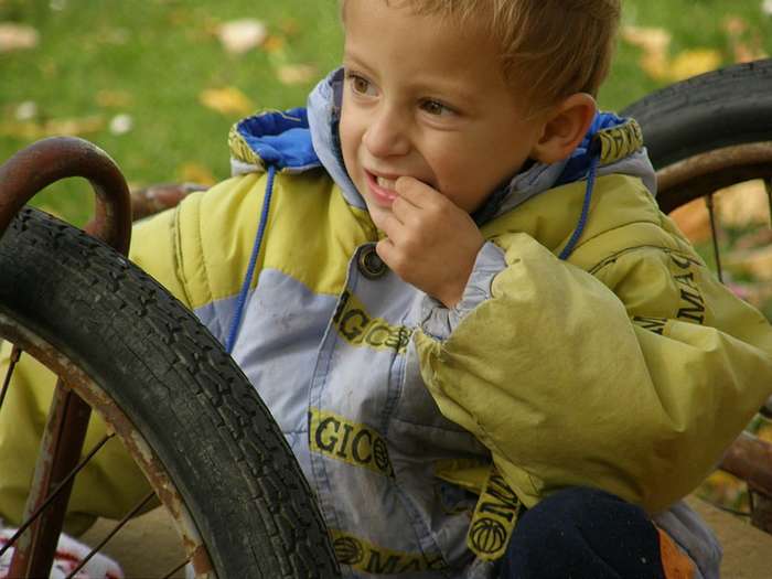 Přáslavice 2008