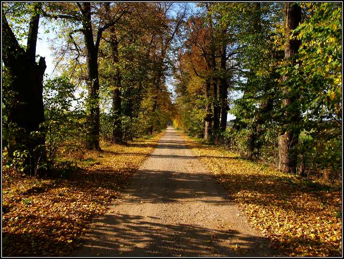 podzimní