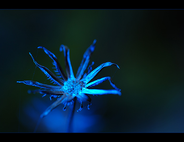 A Zimoděj řekl "Vítám vás" ...