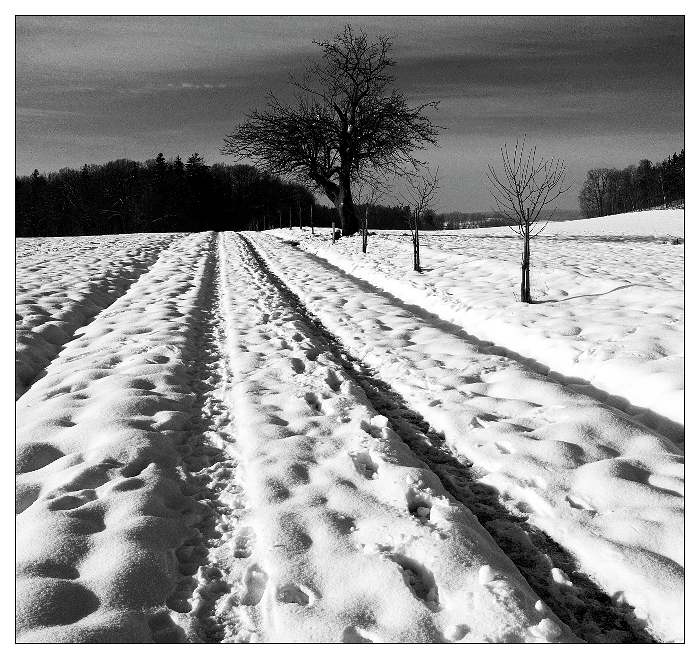 ...bílá romantika 1...