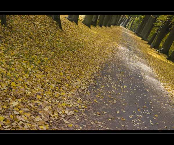 Podzimní procházka