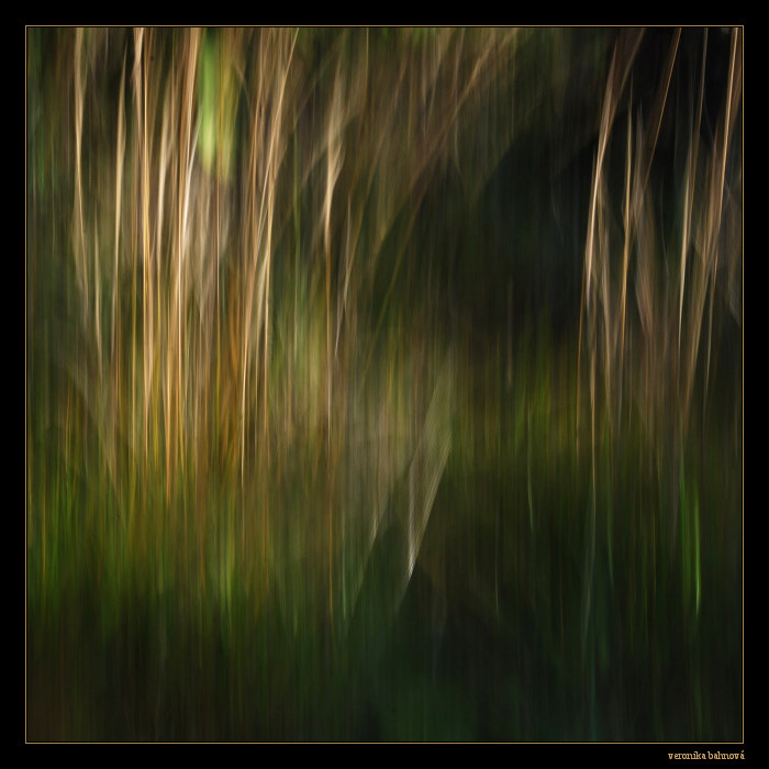 Prežiarená lúčmi jesene