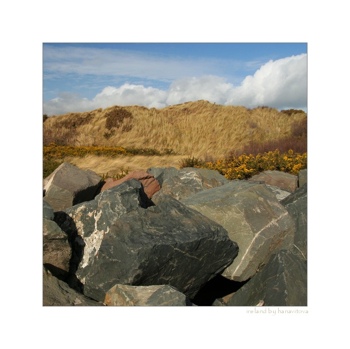 murlough.bay.2008
