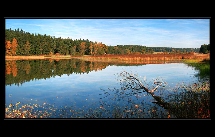 podzimní III