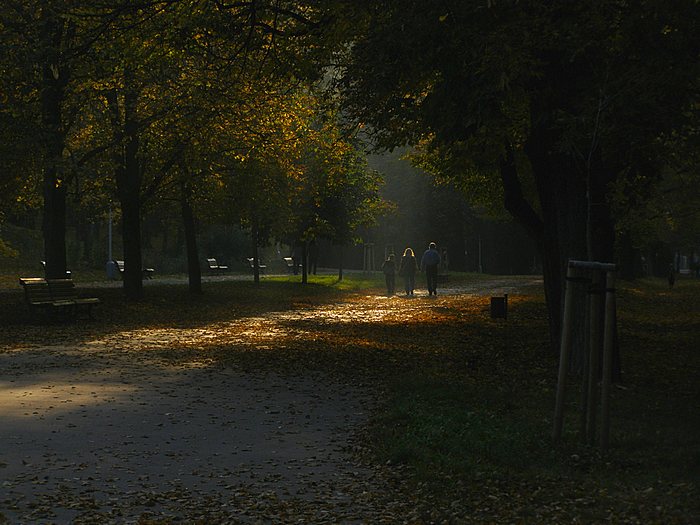 Procházka Stromovkou