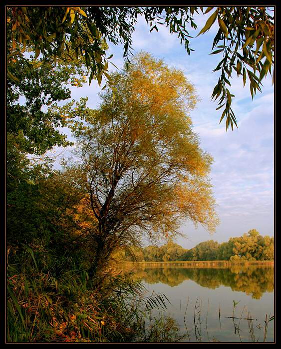 Jesenná