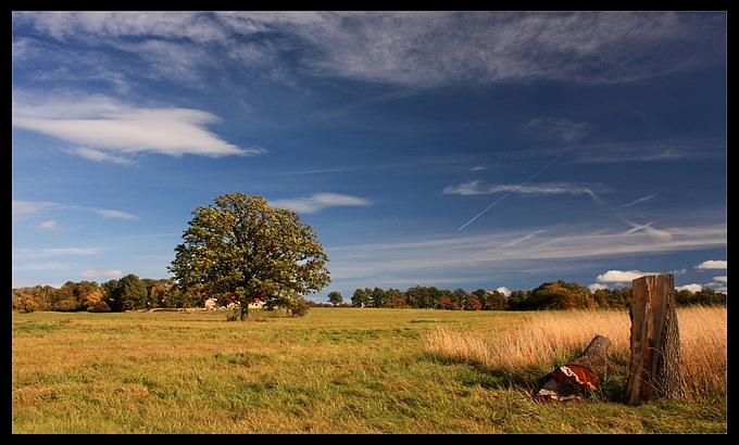 Minulost a současnost