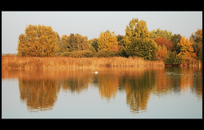U vody III.