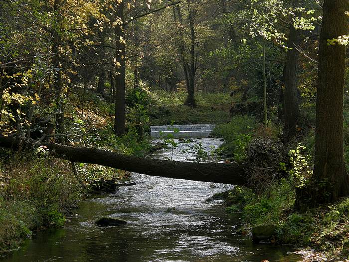 říčka Kamenice