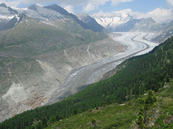 Aletsch