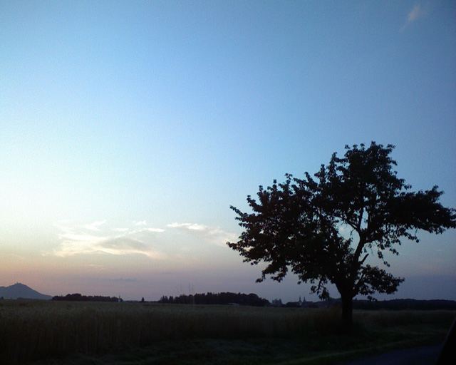 Strom