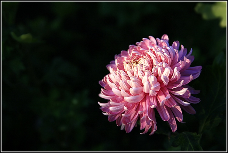 Než zapadlo slunce.