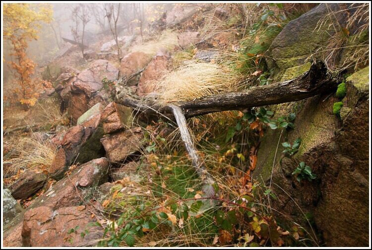 Podzimní krajinný detail