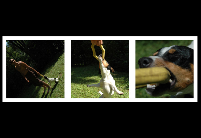 Janky je vas kamarad