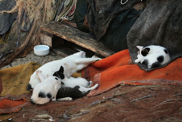 Siesta v prístave