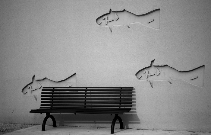 Odpočinek u tří rybek...