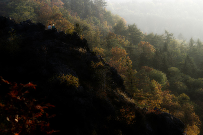 quiet place