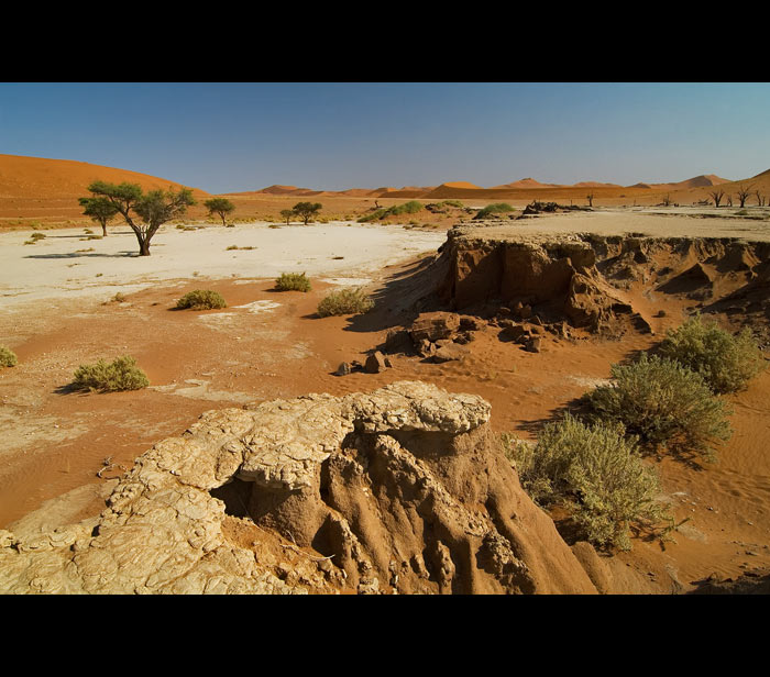 Deadvlei