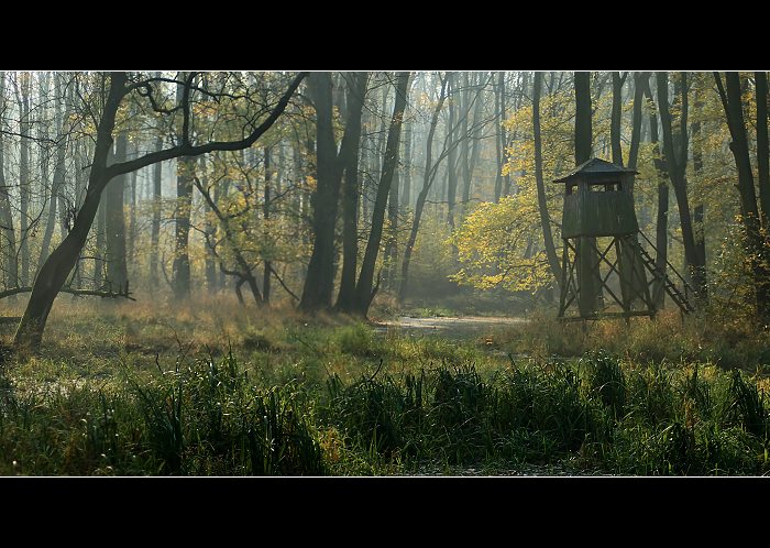 ..::Lesni zakouti::..