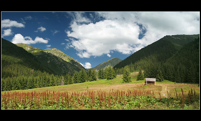 Tatranské panorama
