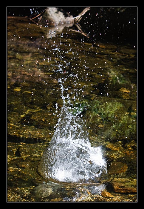 Splash!
