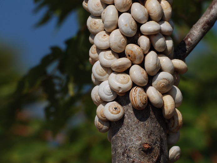 společné foto ze srazu