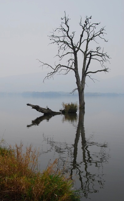 Věstonická nádrž