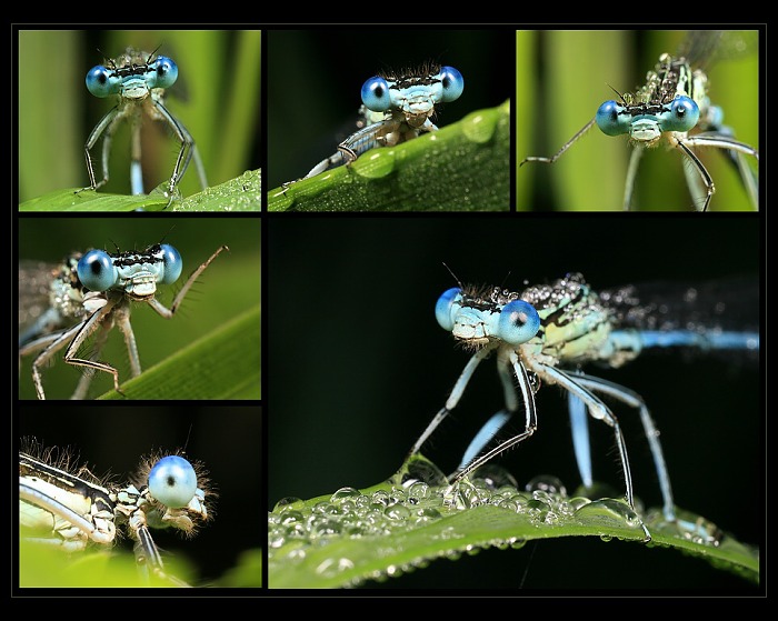 Book začínající modelky