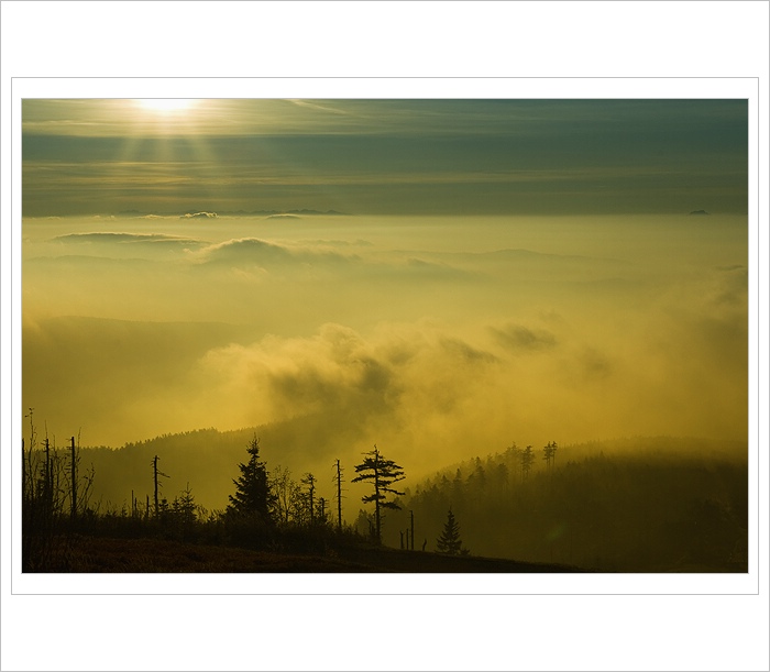 *** Východovka beskydská II. ***