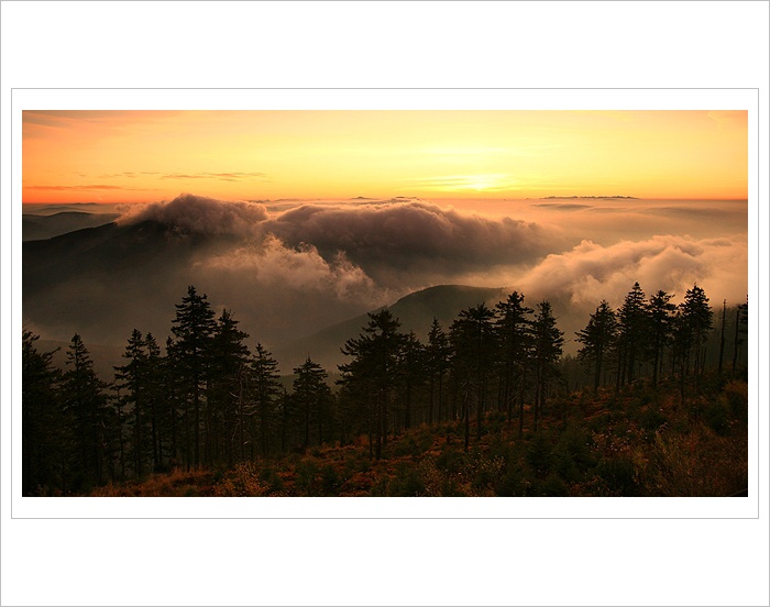 *** Východovka beskydská III. ***