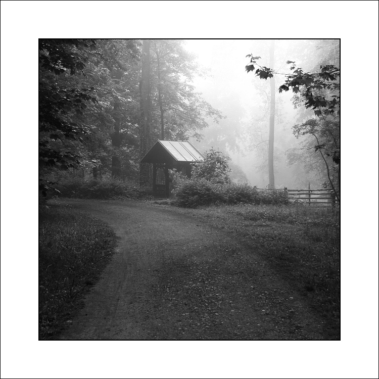 Návraty do veltruského parku XXXIV - u kapličky