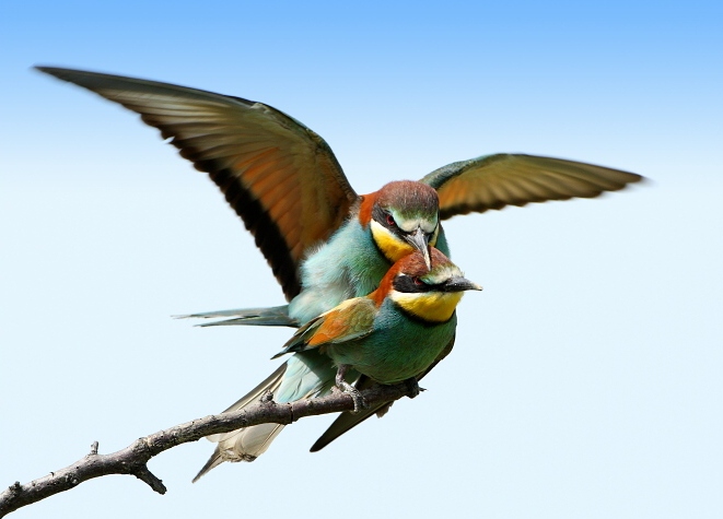 Drž se, poletíme! nebo je to jinak? ;-)