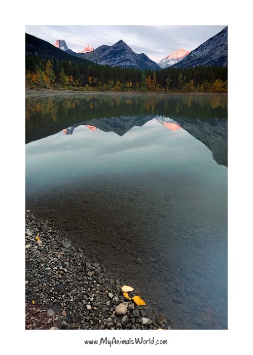Wedge pond