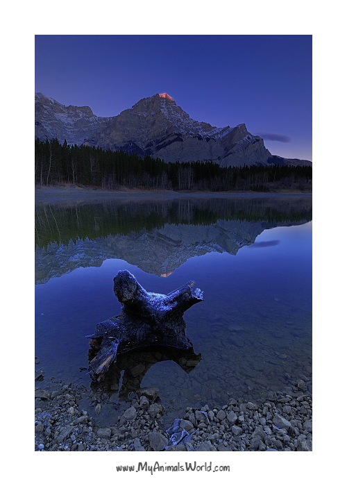 Wedge pond