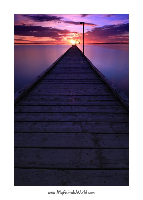 Lac Ste Anne