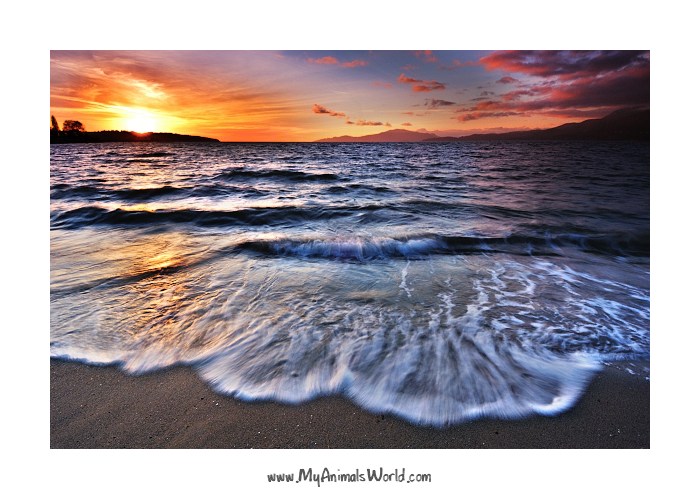Kitsilano Beach