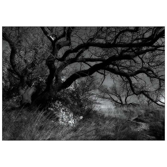 ...Cestou klikatou...