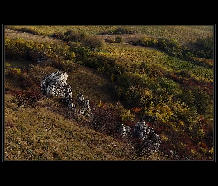 ...Soumrak pod Pálavou...