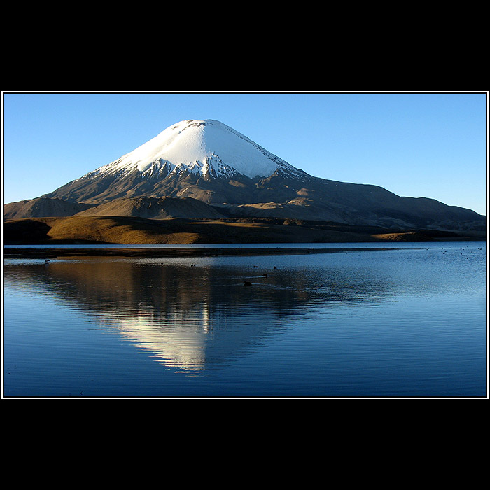 /// Parinacota ///