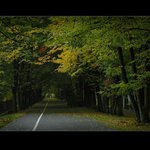 .: PODZIMNÍ CESTOU :.