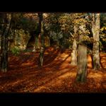 Podzim v Praze Libni