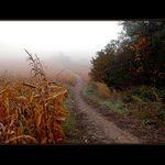 Pražské mlhy včera ráno