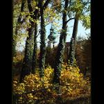 v areálu Břevnovského kláštera