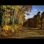 V Markétské zahradě v Praze