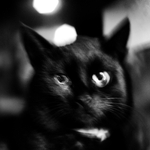 mikesh, the dark killer