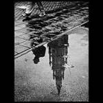 Podzim v Antverpách