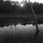 Borkovická blata II